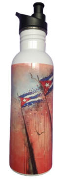 BOTELLA DE METAL PARA AGUA( INTERIOR  ROJO)MMBW02
