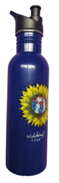BOTELLA DE METAL PARA AGUA( INTERIOR  AZUL)MMBW03