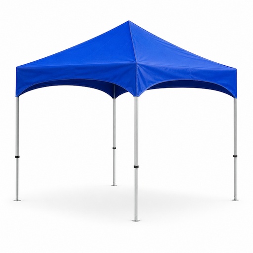 CARPA 3X3